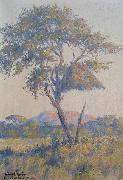 unknow artist Landscape in Namibia oil painting picture wholesale